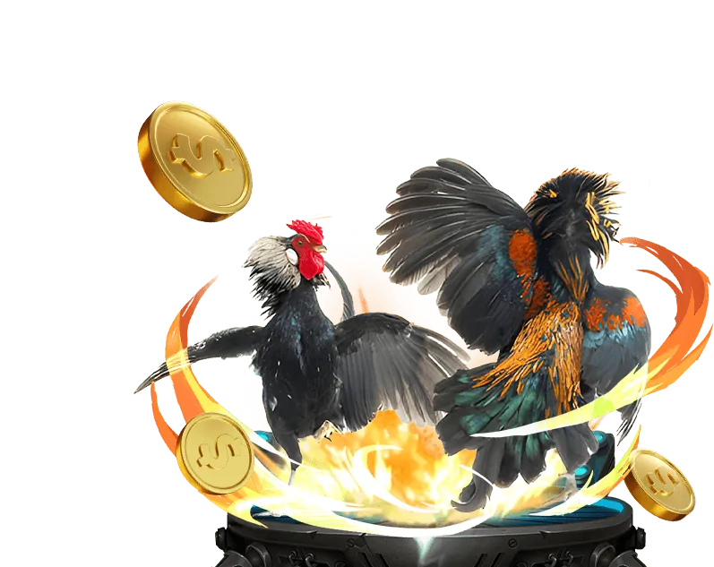 Tổng quan về sảnh đá gà của b88 casino